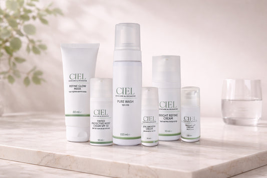 ערכת ההבהרה